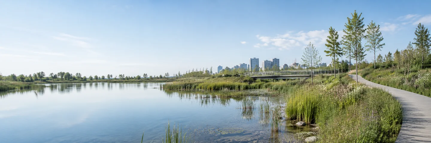 Wetland, water and urban infrastructure representing the connected RSM ecosystem